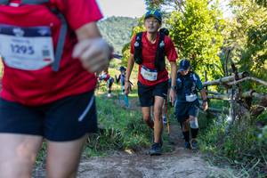 BIB: 1295
                            <button type="button" onclick="openModal(19280053)" class="btn btn-primary btn-sm float-right btn-popup" data-toggle="modal" data-target=".modal-high-quality">
                        <i class="fas fa-shopping-cart"></i> Add to Cart
                    </button>
                                            <button type="button" onclick="isThisMe(19280053, true)" class="btn btn-success btn-sm float-right btn-popup btn-isme hidden" data-toggle="tooltip" data-placement="bottom" title="นี่คือรูปของคุณใช่ไหม คลิกที่นี่เพื่อเอาเข้าอัลบั้ม">
                        <i class="fas fa-plus"></i> Add to album
                    </button>
                    <button type="button" onclick="isThisMe(19280053, false)" class="btn btn-warning btn-sm float-right btn-popup btn-isnotme hidden">
                        <i class="fas fa-ban"></i> Remove from album
                    </button>